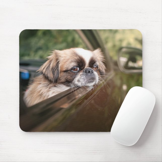 Niedliche Kleintiere | Pekingese Welpe im Auto Mousepad (Mit Mouse)