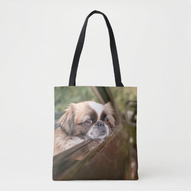 Niedliche Kleintiere | Pekingese Welpe im Auto Tasche (Vorderseite)
