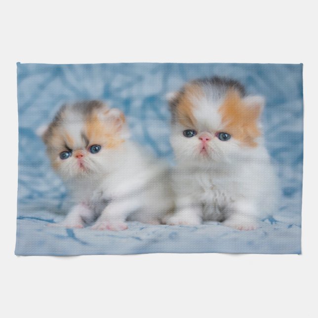 Niedliche Kleintiere | Persian Calico Kitten Geschirrtuch (Horizontal)
