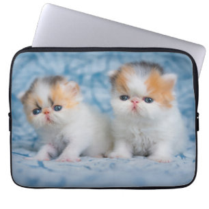 Niedliche Kleintiere Persian Calico Kitten Laptopschutzhülle