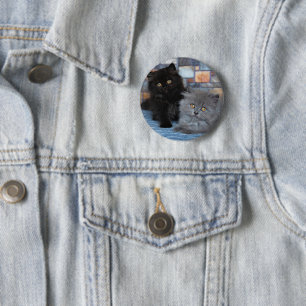 Niedliche Kleintiere Persische Kätzchen auf der Button