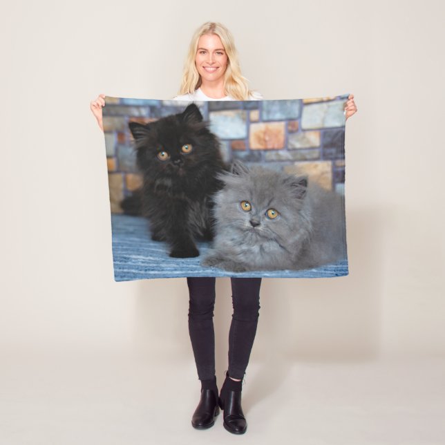 Niedliche Kleintiere | Persische Kätzchen auf der  Fleecedecke (Beispiel)