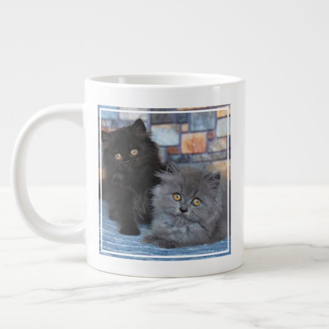 Niedliche Kleintiere | Persische Kätzchen auf der  Jumbo-Tasse (Links)