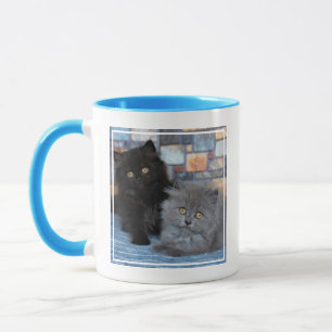 Niedliche Kleintiere   Persische Kätzchen auf der  Tasse