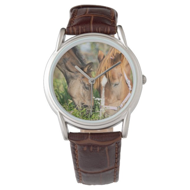 Niedliche Kleintiere | Pferdekälte Armbanduhr (Vorderseite)