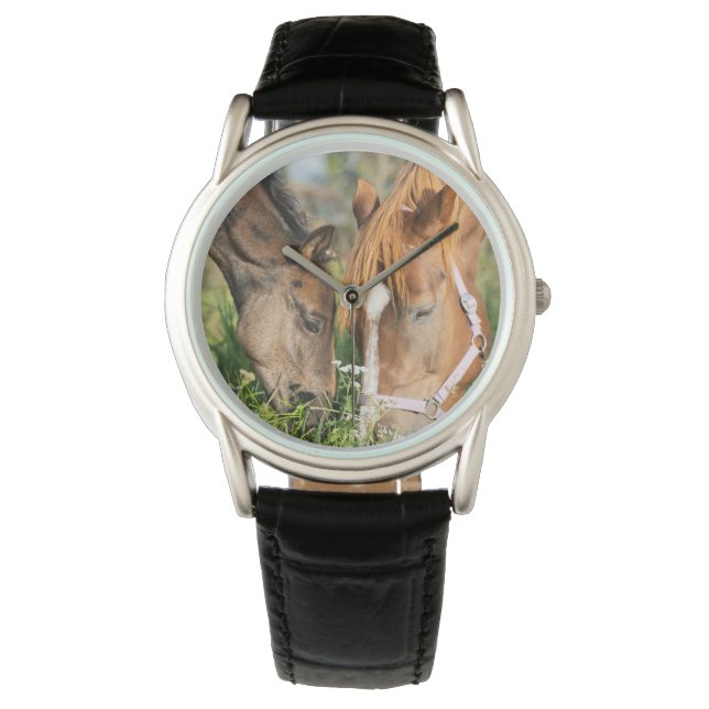 Niedliche Kleintiere | Pferdekälte Armbanduhr (Vorderseite)