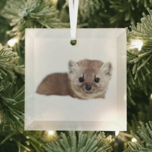 Niedliche Kleintiere Pine Marten Ornament Aus Glas