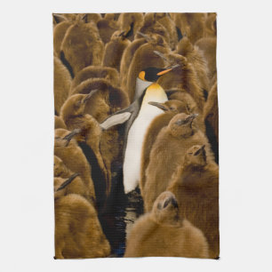 Niedliche Kleintiere Pinguin unter Jugendlichen Geschirrtuch