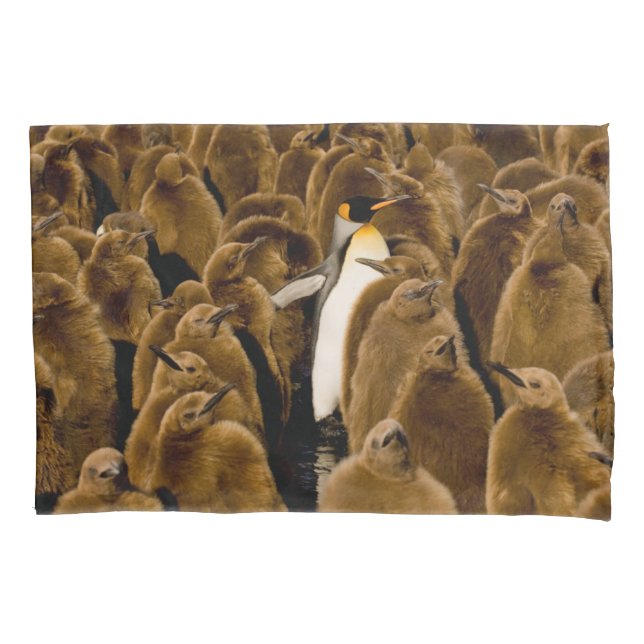 Niedliche Kleintiere | Pinguin unter Jugendlichen Kissenbezug (Vorderseite)