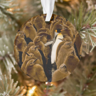 Niedliche Kleintiere Pinguin unter Jugendlichen Ornament