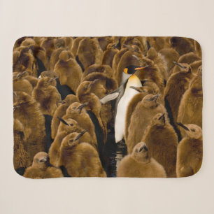Niedliche Kleintiere Pinguin unter Jugendlichen Sherpadecke
