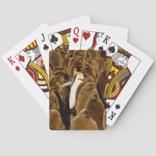 Niedliche Kleintiere Pinguin unter Jugendlichen Spielkarten