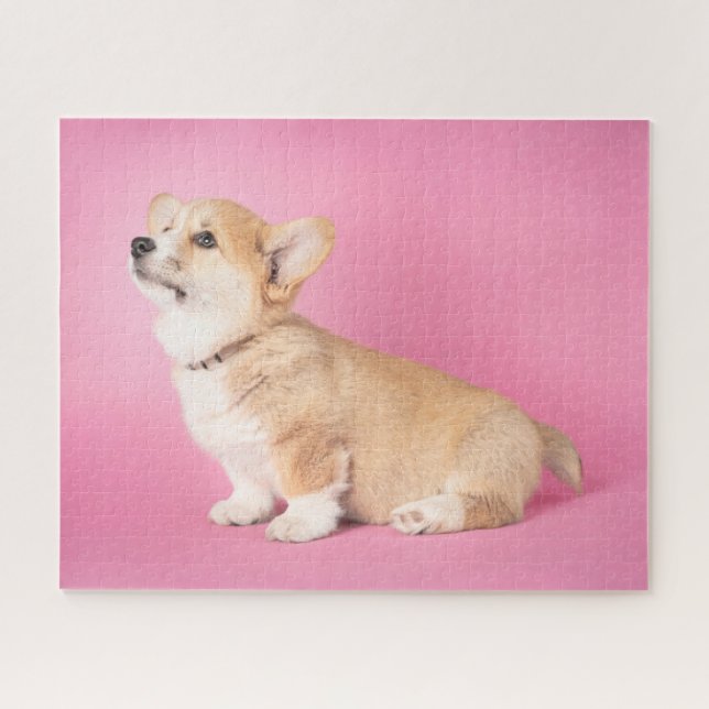 Niedliche Kleintiere | Pink Corgi Puppy (Horizontal)