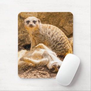Niedliche Kleintiere   Playful Meerkats Mousepad