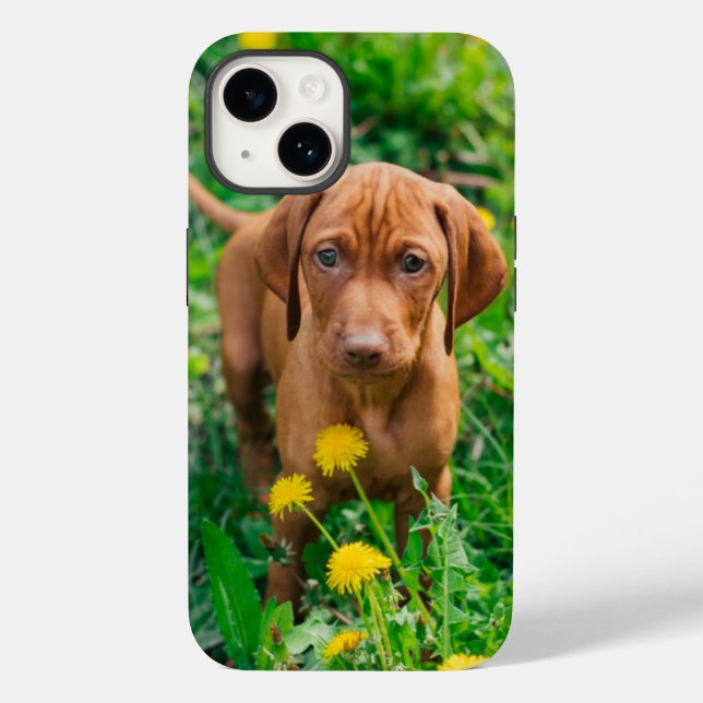 Niedliche Kleintiere | Pointer Puppy Case-Mate iPhone 14 Hülle (Rückseite)