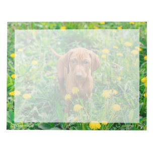 Niedliche Kleintiere Pointer Puppy Notizblock