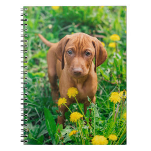 Niedliche Kleintiere Pointer Puppy Notizblock