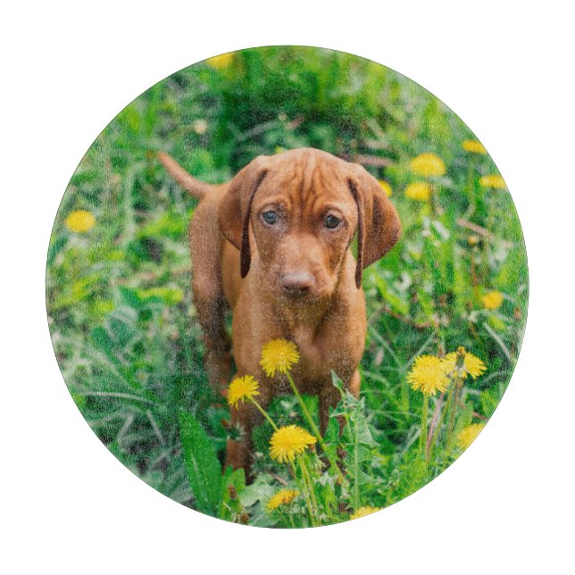 Niedliche Kleintiere | Pointer Puppy Schneidebrett (Vorderseite)