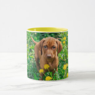 Niedliche Kleintiere Pointer Puppy Tasse