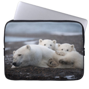 Niedliche Kleintiere   Polar Bear Family Alaska Laptopschutzhülle