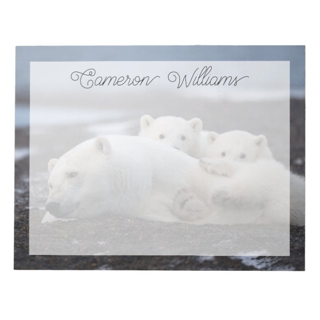 Niedliche Kleintiere | Polar Bear Family Alaska Notizblock (Vorderseite)