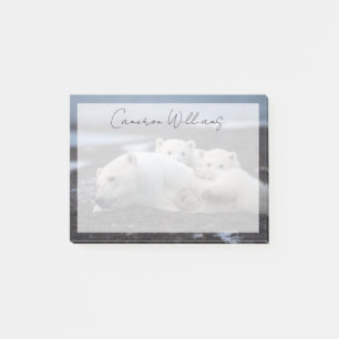 Niedliche Kleintiere   Polar Bear Family Alaska Post-it Klebezettel
