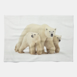 Niedliche Kleintiere Polar Bear Family Geschirrtuch