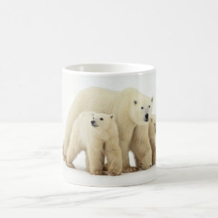Niedliche Kleintiere   Polar Bear Family Kaffeetasse