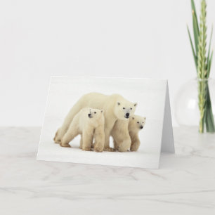 Niedliche Kleintiere Polar Bear Family Karte