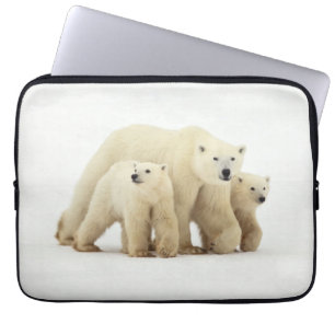 Niedliche Kleintiere   Polar Bear Family Laptopschutzhülle