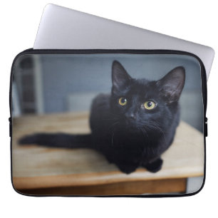 Niedliche Kleintiere   Portrait einer Schwarzen Ka Laptopschutzhülle