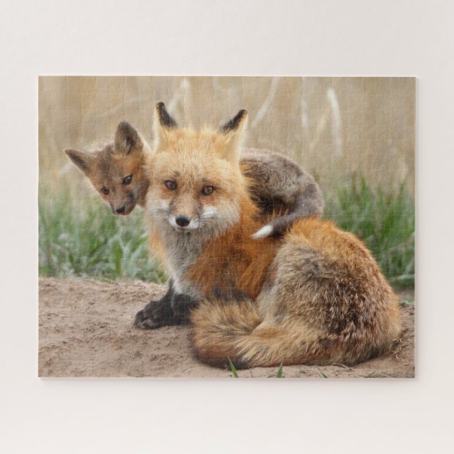 Niedliche Kleintiere | Red Fox & Baby (Horizontal)