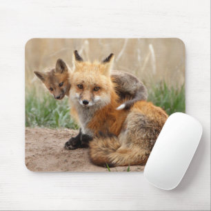 Niedliche Kleintiere   Red Fox & Baby Mousepad