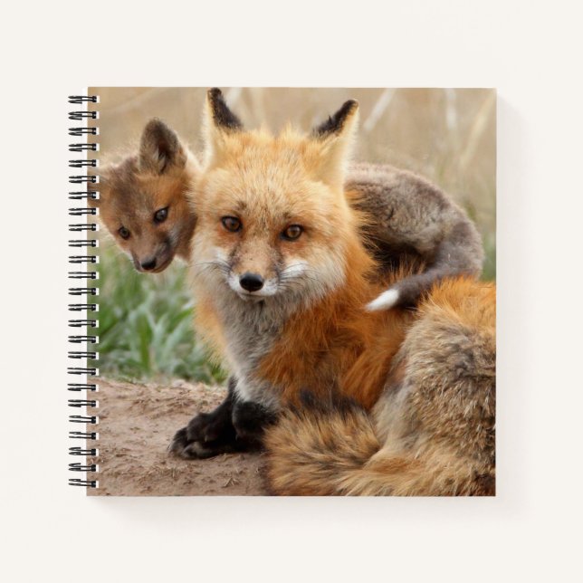 Niedliche Kleintiere | Red Fox & Baby Notizbuch (Vorderseite)