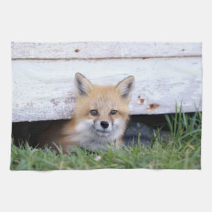 Niedliche Kleintiere   Red Fox Kit Peeking Geschirrtuch