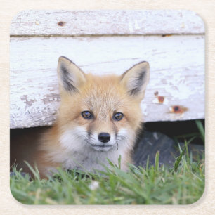 Niedliche Kleintiere Red Fox Kit Peeking Rechteckiger Pappuntersetzer