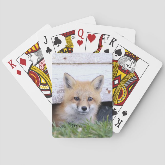 Niedliche Kleintiere | Red Fox Kit Peeking Spielkarten (Rückseite)