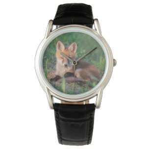 Niedliche Kleintiere   Red Fox Kit Relaxen Armbanduhr
