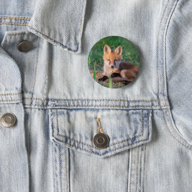 Niedliche Kleintiere | Red Fox Kit Relaxen Button (Beispiel)