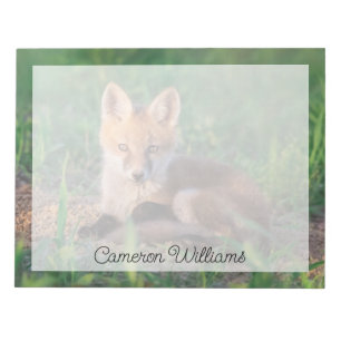 Niedliche Kleintiere   Red Fox Kit Relaxen Notizblock