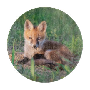 Niedliche Kleintiere   Red Fox Kit Relaxen Schneidebrett