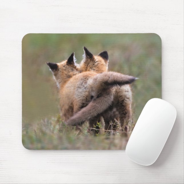 Niedliche Kleintiere | Red Fox Kits Locking Schwan Mousepad (Mit Mouse)