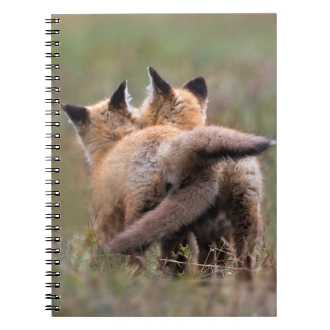 Niedliche Kleintiere | Red Fox Kits Locking Schwan Notizblock (Vorderseite)