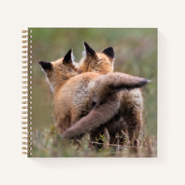 Niedliche Kleintiere | Red Fox Kits Locking Schwan Notizbuch (Vorderseite)