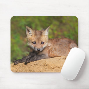 Niedliche Kleintiere Red Fox Pup Mousepad