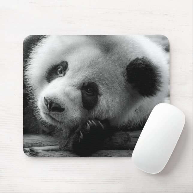 Niedliche Kleintiere | Riesengebirgssäule Mousepad (Mit Mouse)