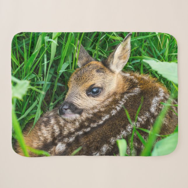 Niedliche Kleintiere | Roe Deer Baby Sherpadecke (Vorderseite (Horizontal))