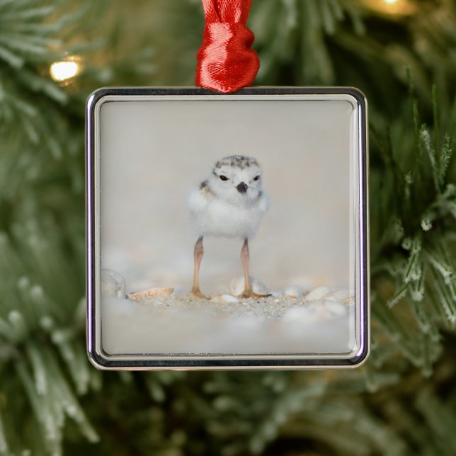 Niedliche Kleintiere | Rohrleitungs-Küken Ornament Aus Metall (Baum)