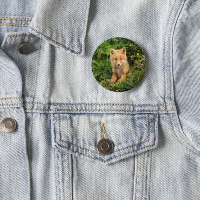 Niedliche Kleintiere | Rotfuchs bei Umnak Alaska Button (Beispiel)