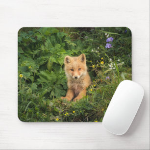 Niedliche Kleintiere   Rotfuchs bei Umnak Alaska Mousepad